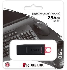 KINGSTON USB3.2 256GB DTX-256GB