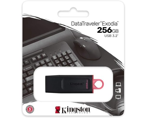 KINGSTON USB3.2 256GB DTX-256GB