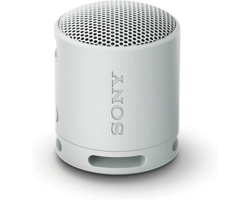 SONY PORTABLE WIRELESS SPEAKER  GRAY