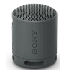 SONY PORTABLE WIRELESS SPEAKER  BLACK