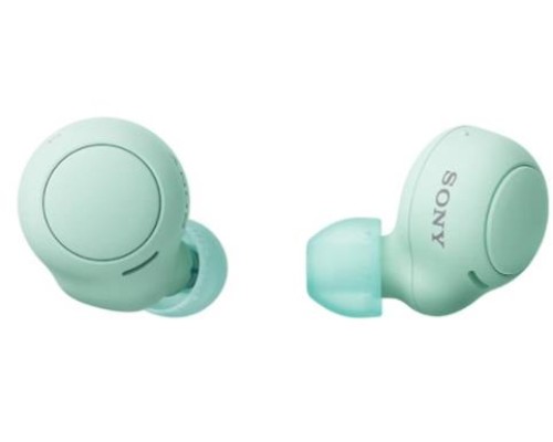 SONY WIRELESS EARPHONES L.GREE