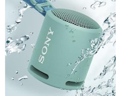 SONY PORTABLE WIRELESS SPEAKER