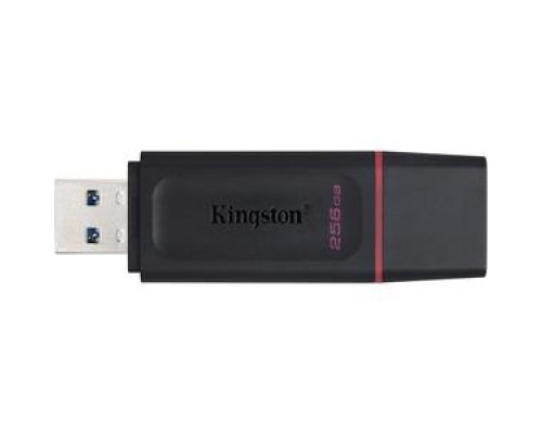 KINGSTON USB3.2 256GB DTX-256GB