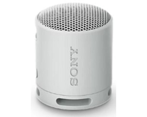 SONY PORTABLE WIRELESS SPEAKER  GRAY