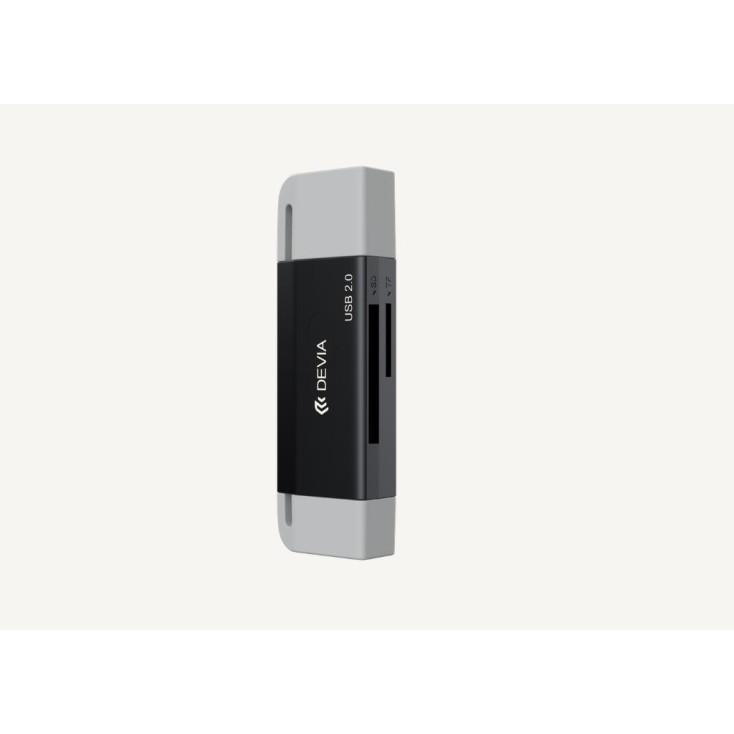 Devia 2-in-1 USB + Type-C 2.0 to SD/TF Card Reader