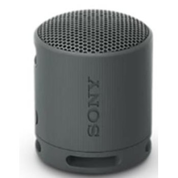 Sony SRS-XB100 Portable Wireless Speaker Black