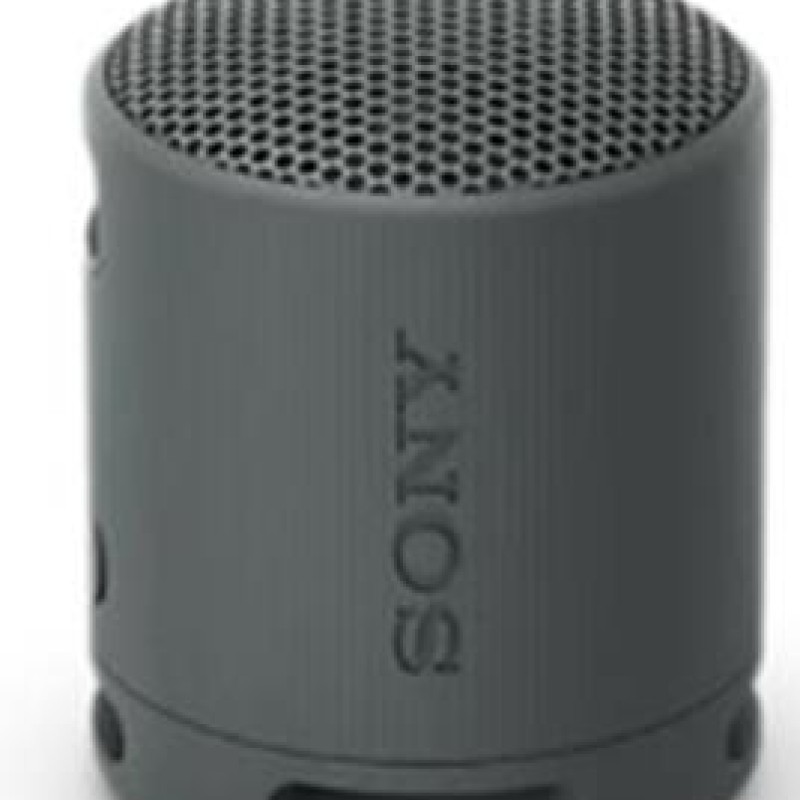 Sony SRS-XB100 Portable Wireless Speaker Black