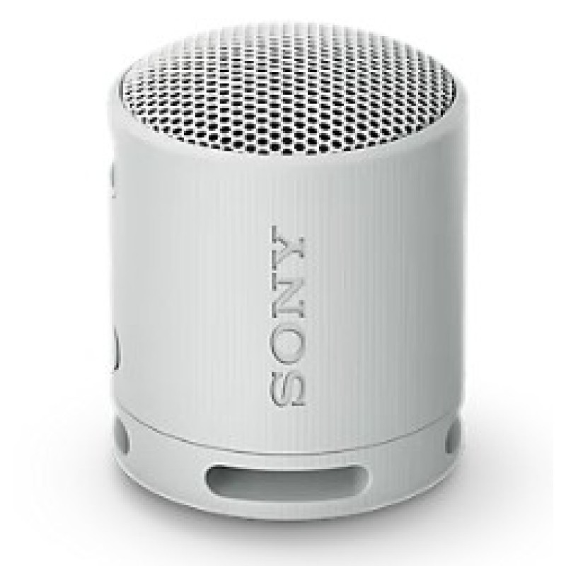 Sony SRS-XB100 Portable Wireless Speaker Gray