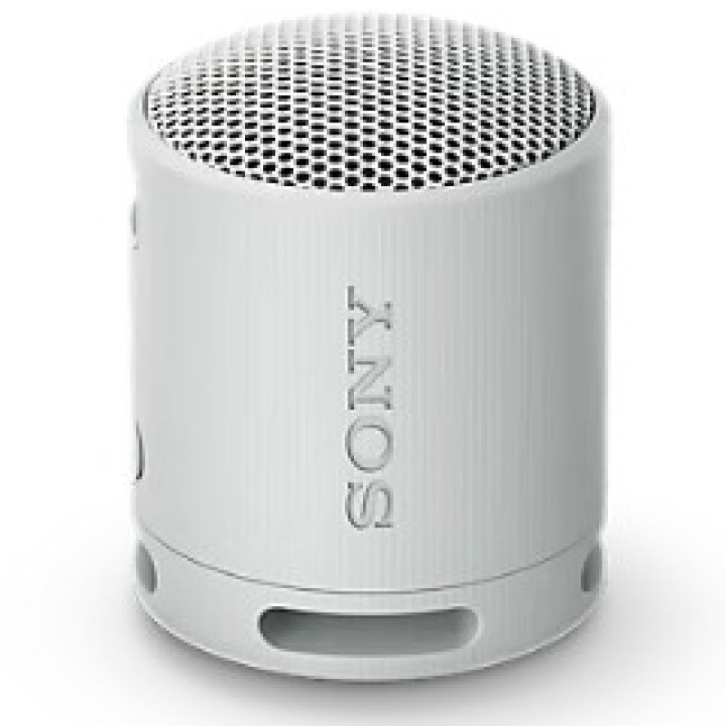 Sony SRS-XB100 Portable Wireless Speaker Gray