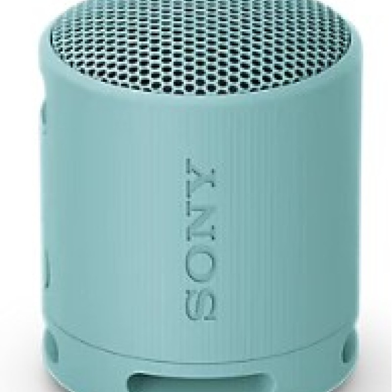 Sony SRS-XB100 Portable Wireless Speaker Blue