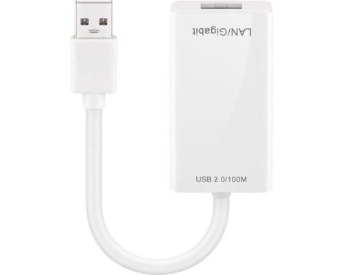 USB 2.0 Fast Ethernet Network Converter, White