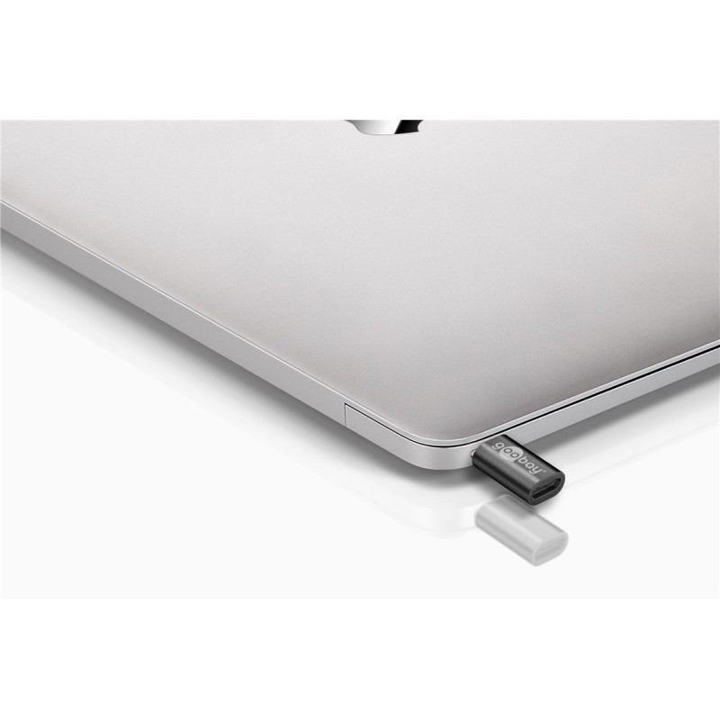 Goobay USB-C to USB 2.0 Micro-B Adapter Grey