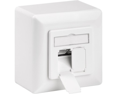 CAT 6 Universal Wall Plate Incl. On-Wall Mounting Frame