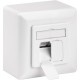CAT 6A Universal Wall Plate Incl. On-Wall Mounting Frame