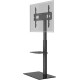 TV Floor Stand Basic (Size L)