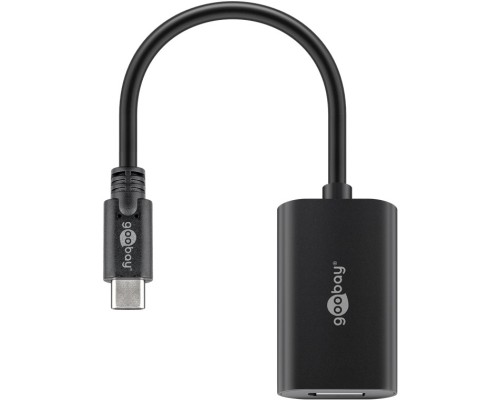 USB-C™ to DisplayPort™ Adapter