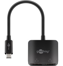 USB-C™ to DisplayPort and HDMI™ Adapter