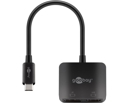 USB-C™ to DisplayPort™ and HDMI™ Adapter
