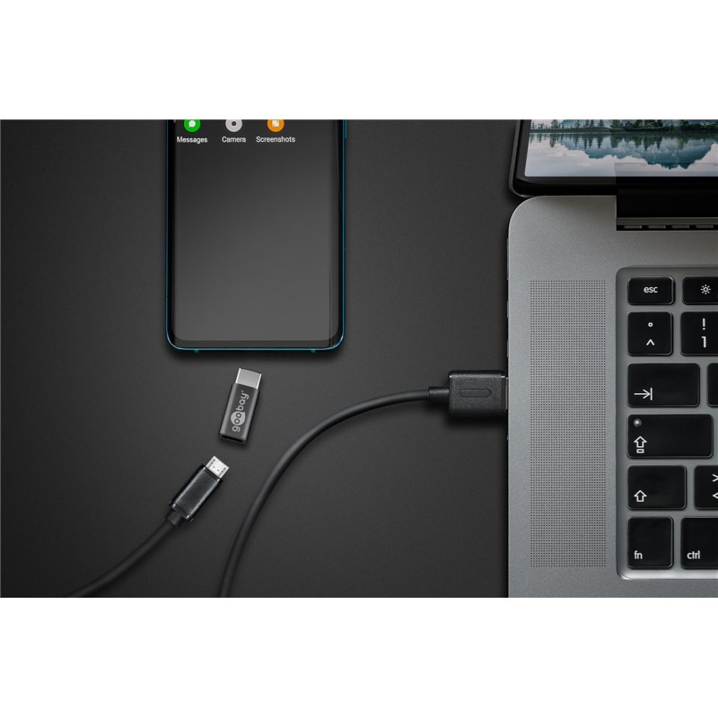 Goobay USB-C to USB 2.0 Micro-B Adapter Grey