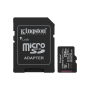 Kingston Canvas Go Plus 256GB Micro SD Card