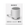 Sony SRS-XB100 Portable Wireless Speaker Gray