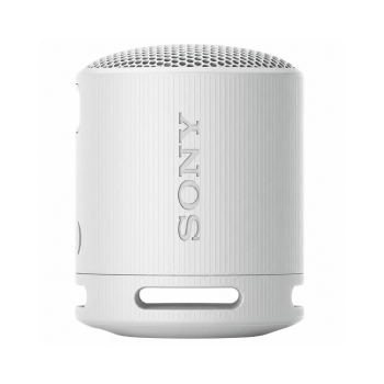 Sony SRS-XB100 Portable Wireless Speaker Gray