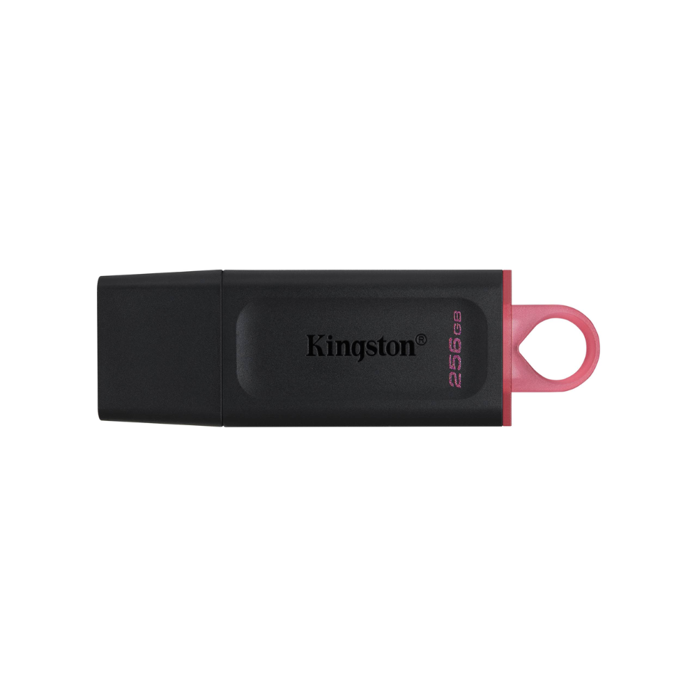 Kingston DataTraveler Exodia DTX 256GB USB 3.2