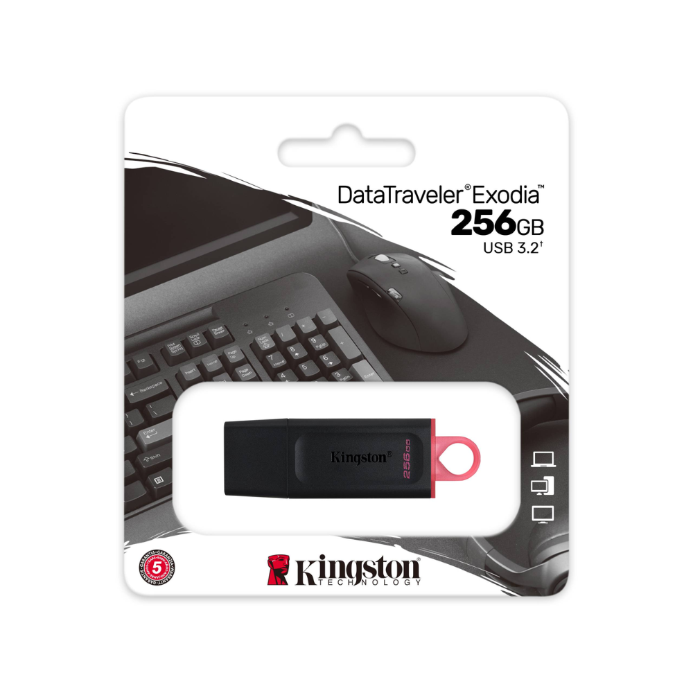 Kingston DataTraveler Exodia DTX 256GB USB 3.2