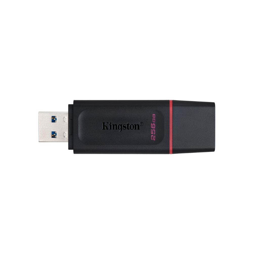 Kingston DataTraveler Exodia DTX 256GB USB 3.2