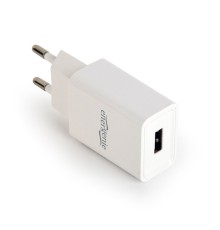 Universal USB charger2.1 Awhite