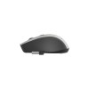 Gembird Wireless Mouse Black/Silver