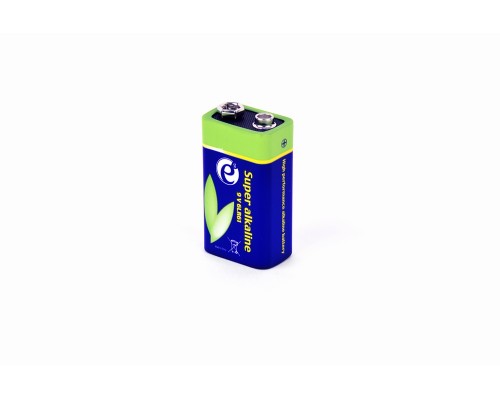Alkaline 9 V 6LR61 batteryblister