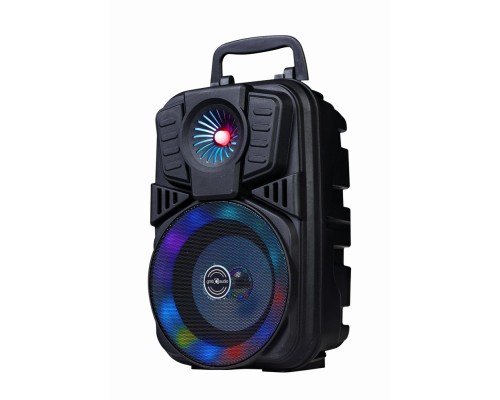 BT portable party speaker