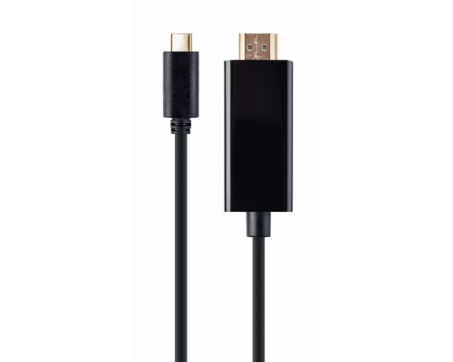 USB-C male to HDMI-male adapter4K 30Hz2 mblack