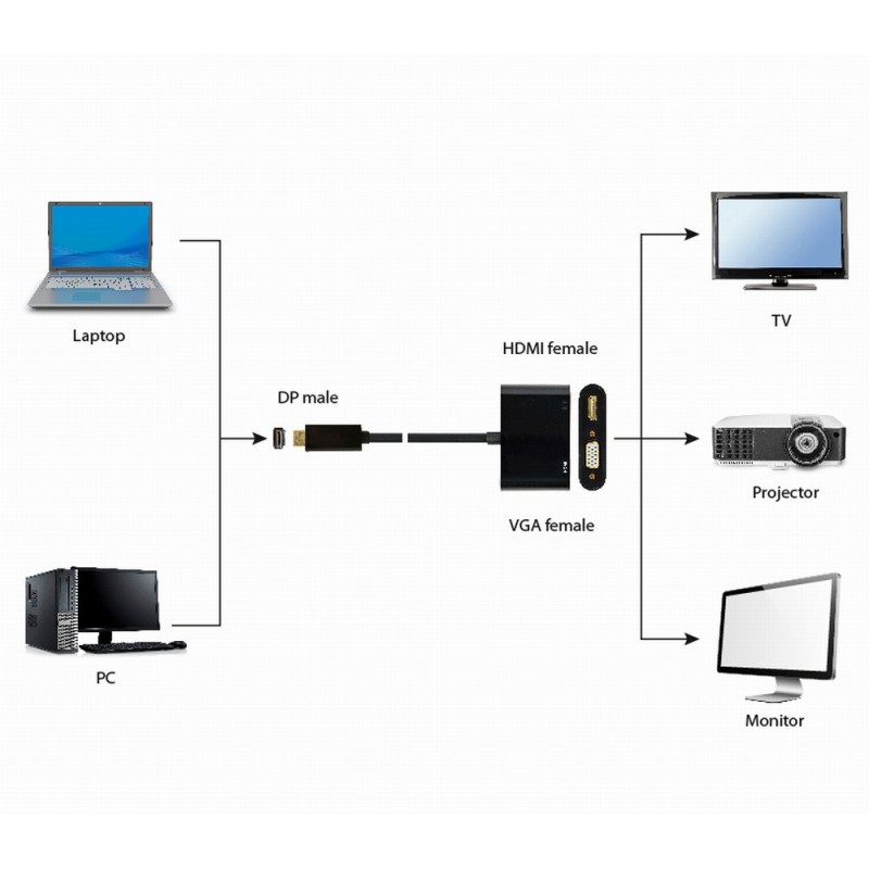 Cablexpert DisplayPort to HDMI + VGA Adapter