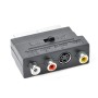 Cablexpert SCART to RCA/S-Video Adapter