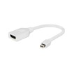 Cablexpert Mini DisplayPort Adapter White
