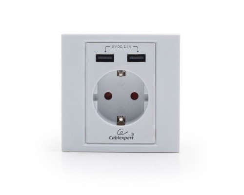 AC wall socket with 2 port USB charger2.4A