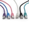 Cablexpert Cat6 UTP Patch Cable 2m Green